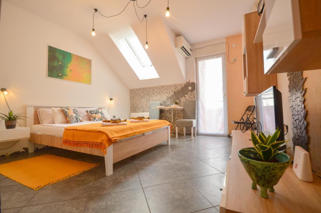 Misha Studio - Cozy Place To Stay In Novi Sad Extérieur photo